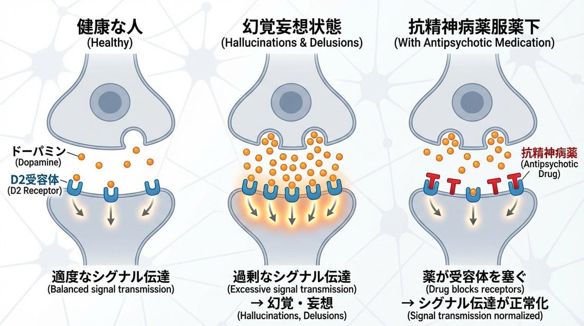Dopamine and schizophrenia synapse diagram