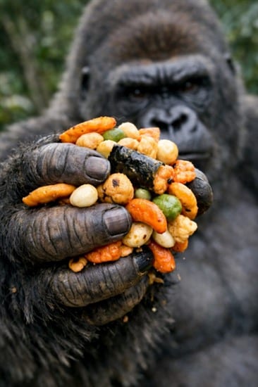 Image Generation Prompt for 'Gorilla's Grasp'