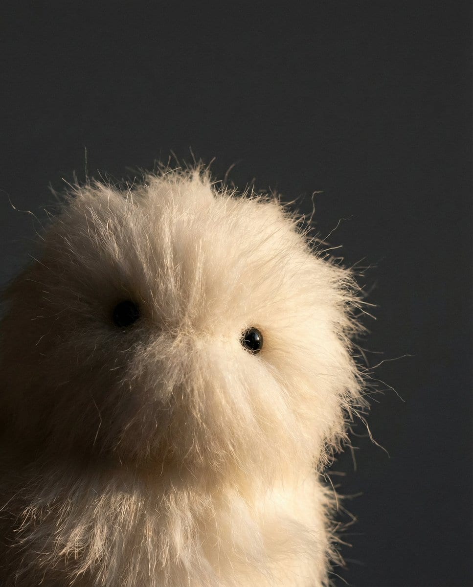 Prompt Share for Nano Banana Pro