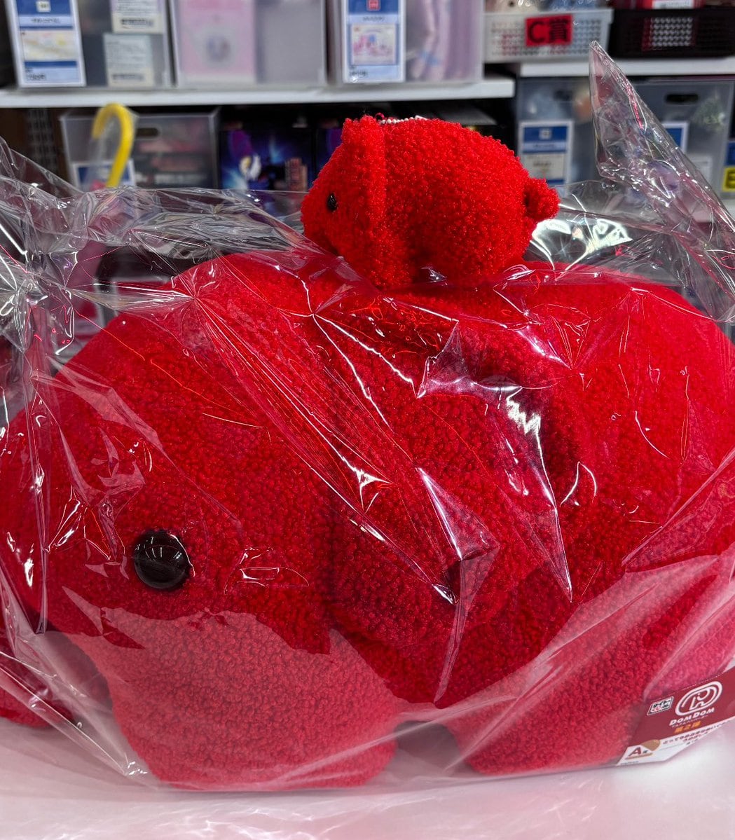 Image Generation of Umeboshi